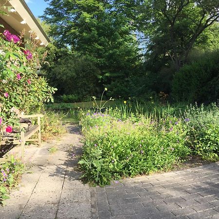 Huisje De Geluksvogel Zorgvlied Exteriör bild