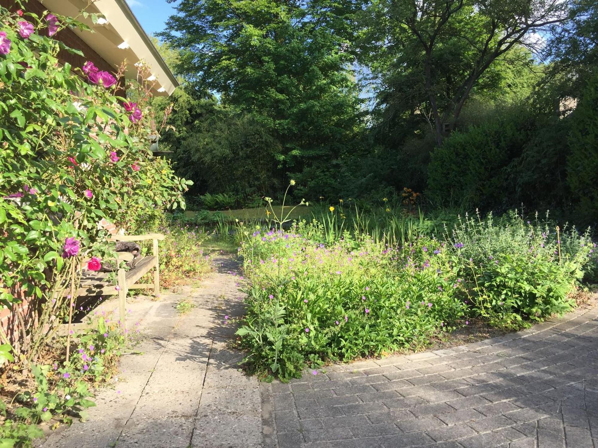 Huisje De Geluksvogel Zorgvlied Exteriör bild
